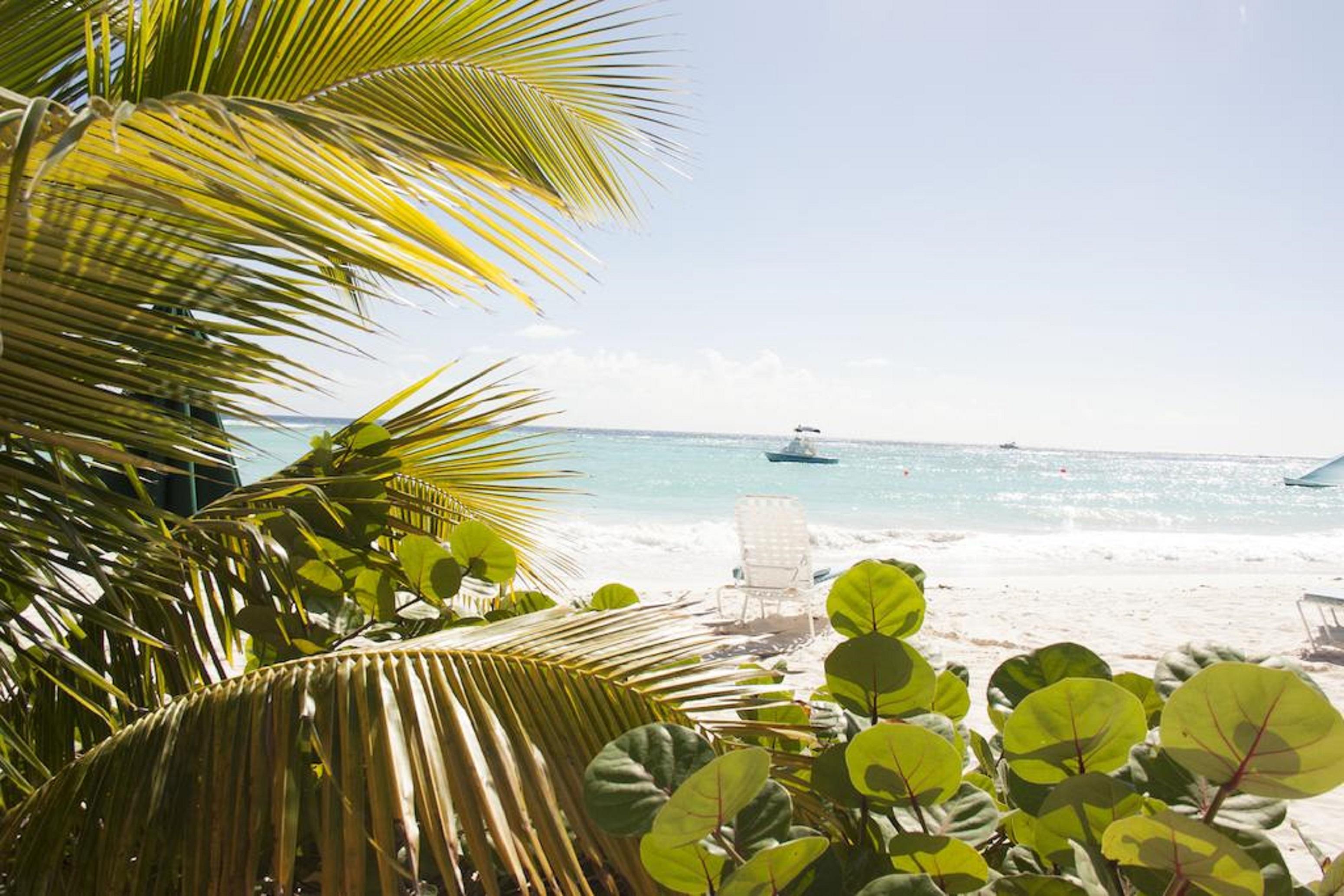 Palm Garden Hotel Barbados Bridgetown Buitenkant foto